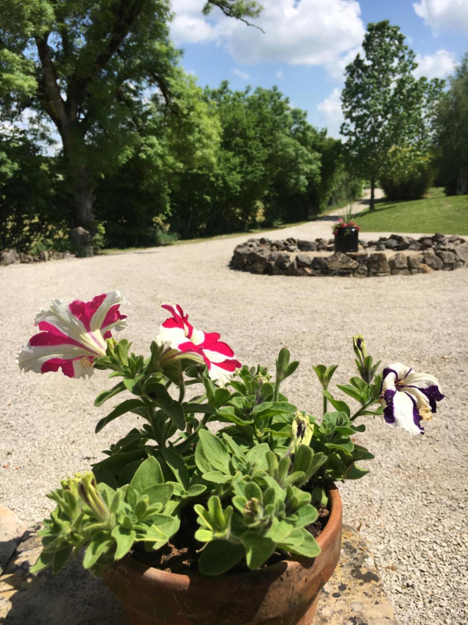 Coutillard Parisot  Exteriör bild