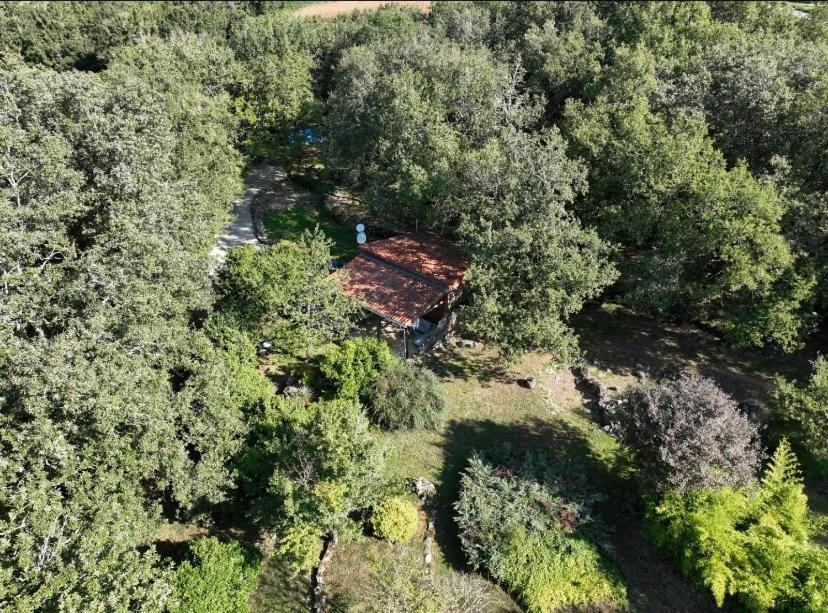 Coutillard Parisot  Exteriör bild